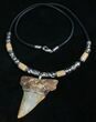 Fossil Mako Tooth Necklace - Bakersfield, CA #5328-1